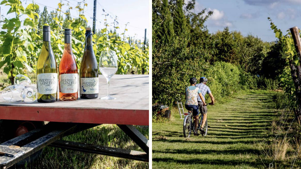 Oplev dansk vin med et ophold i vingårdshytte på Fejø